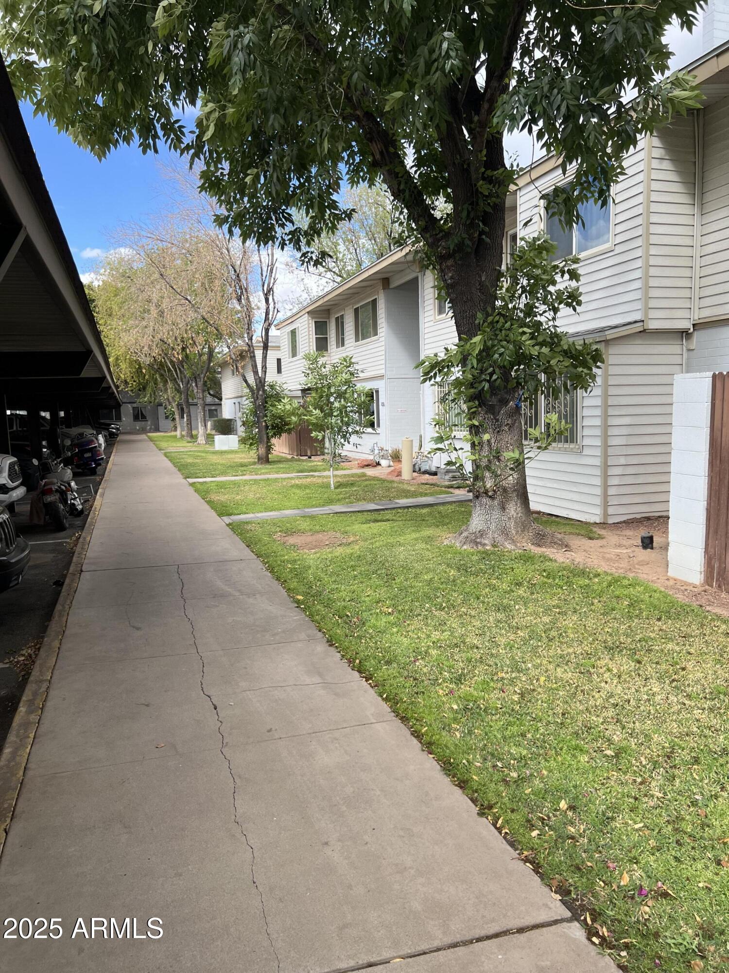 a view of a house with backyard and a tree