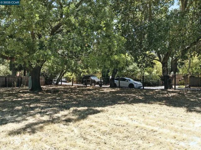 a view of a yard with a tree