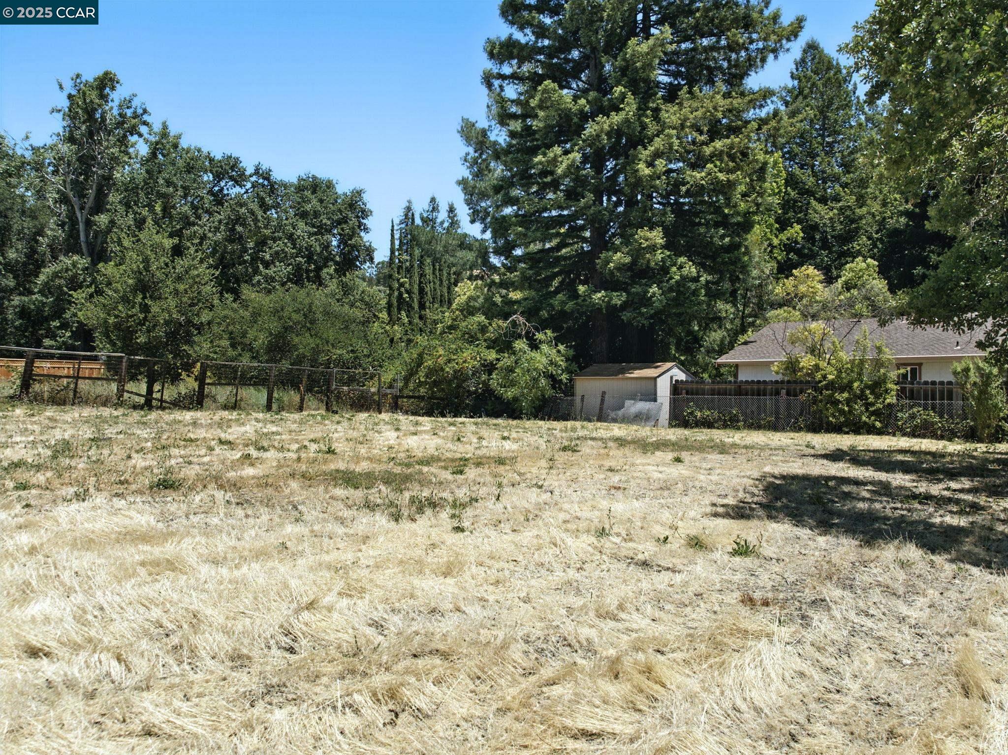 3894 El Nido Ranch Road Lafayette, CA 94549 - Photo 14 of 22 a view of a yard with large trees