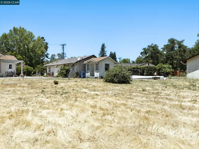 a white house that has a tree in front of it