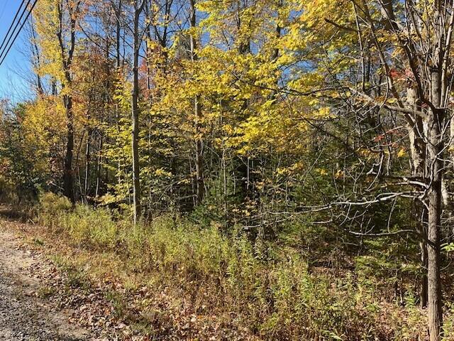 288 Ryerson Hill Road Paris, ME 04281 - Photo 1 of 4 288 Ryerson Hill Road D