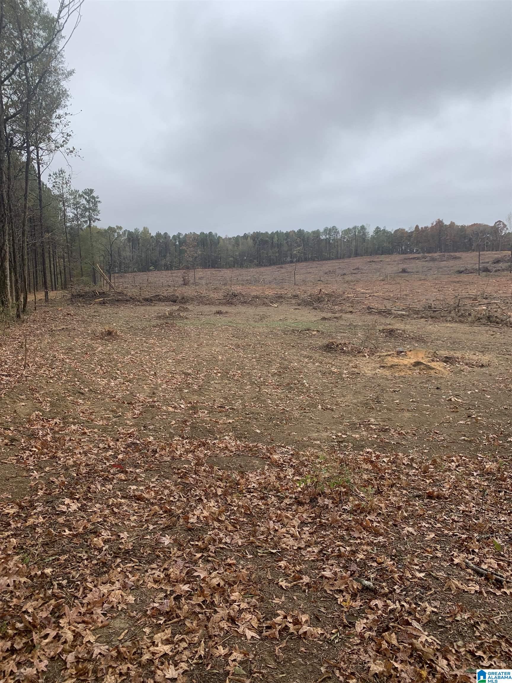 451 Prospect Road Nauvoo, AL 35578 - Photo 13 of 16