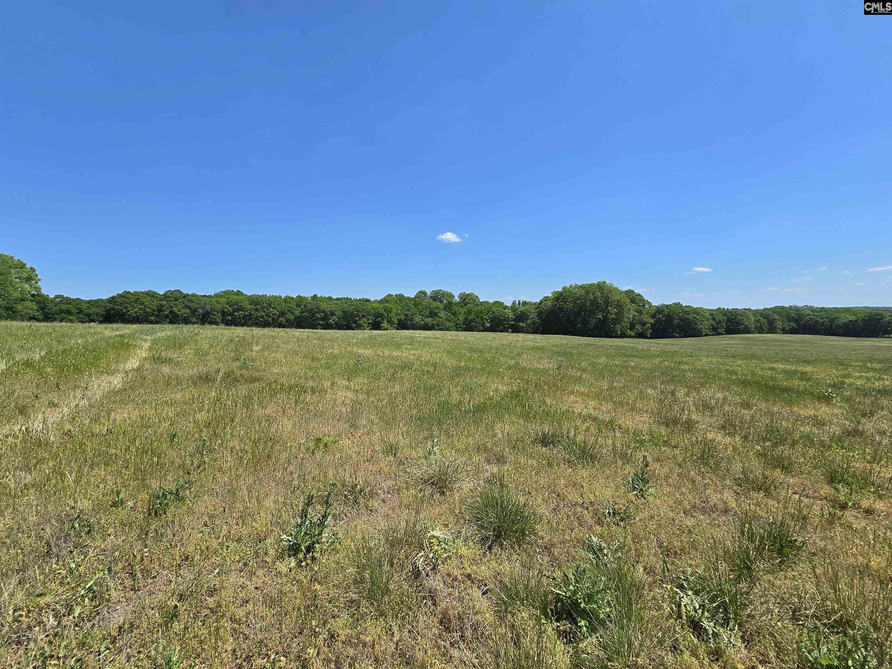 542 Pea Ridge Highway Jonesville, SC 29353 - Photo 47 of 72