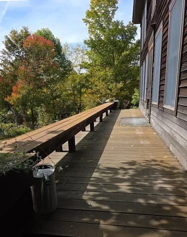 a backyard with tall trees