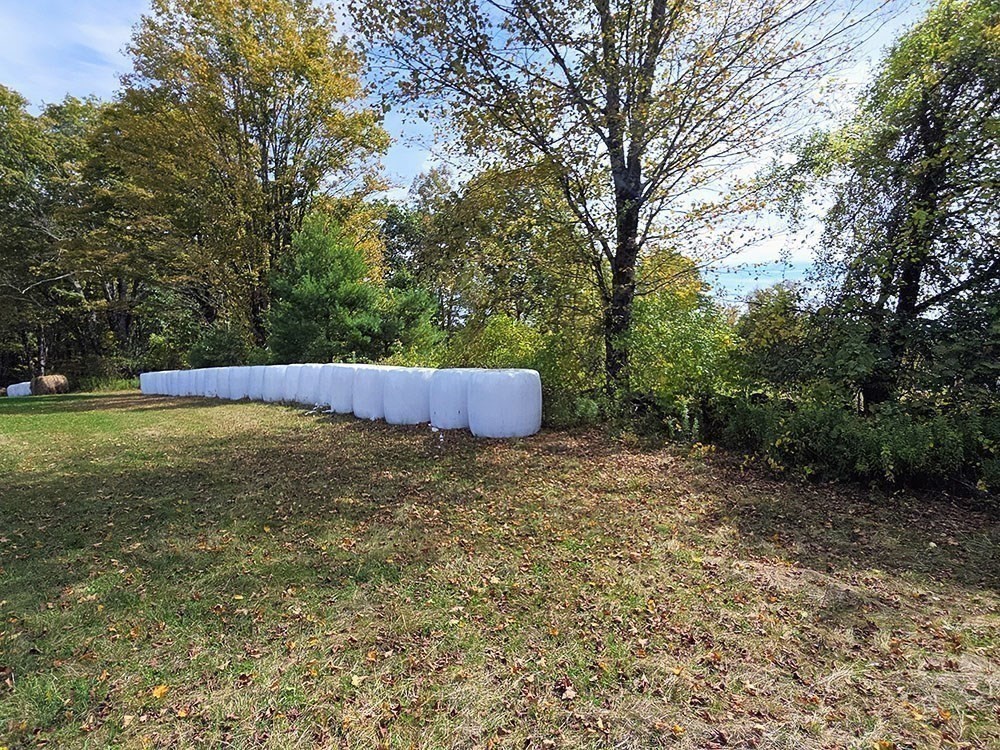 47 Harty Drive Petersham, MA 01366 - Photo 34 of 39 a backyard with tall trees