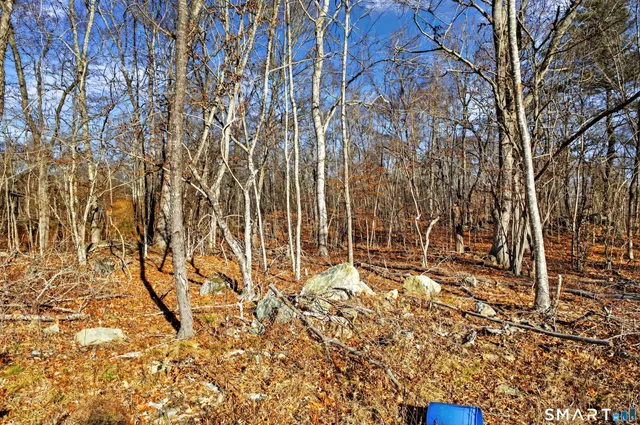 a view of backyard with tree