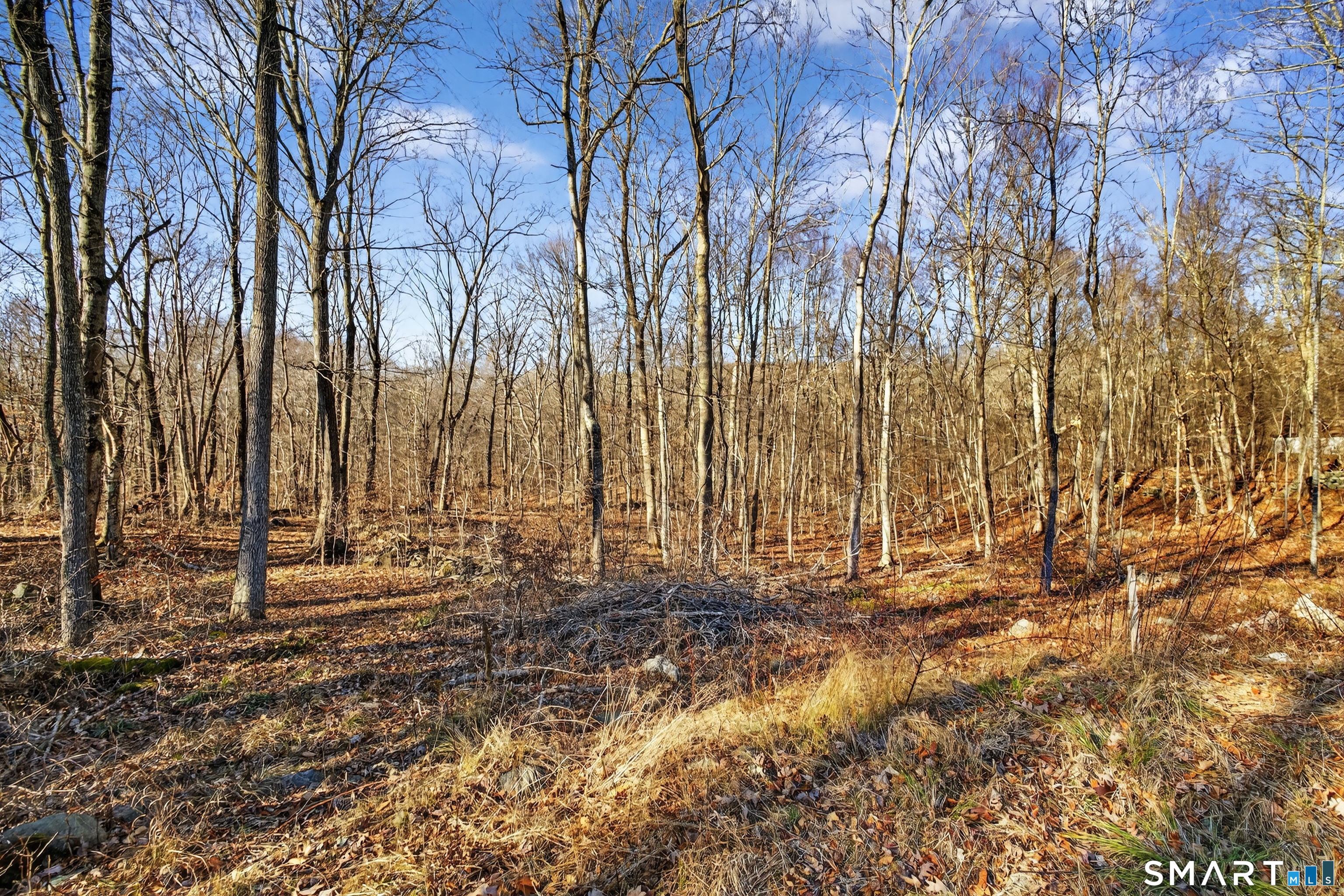 45 Benton Hill Road Griswold, CT 06351 - Photo 13 of 36