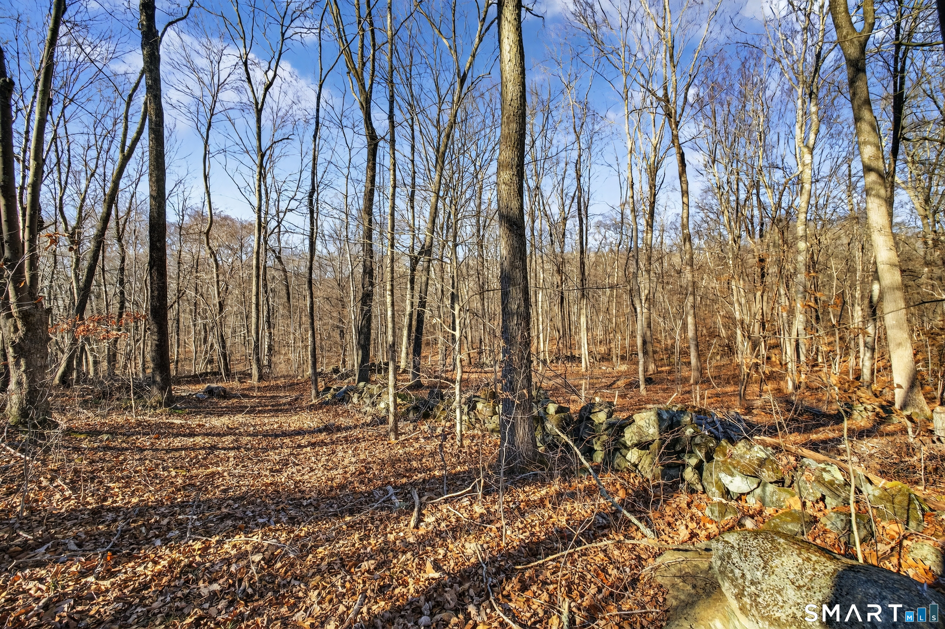 45 Benton Hill Road Griswold, CT 06351 - Photo 14 of 36