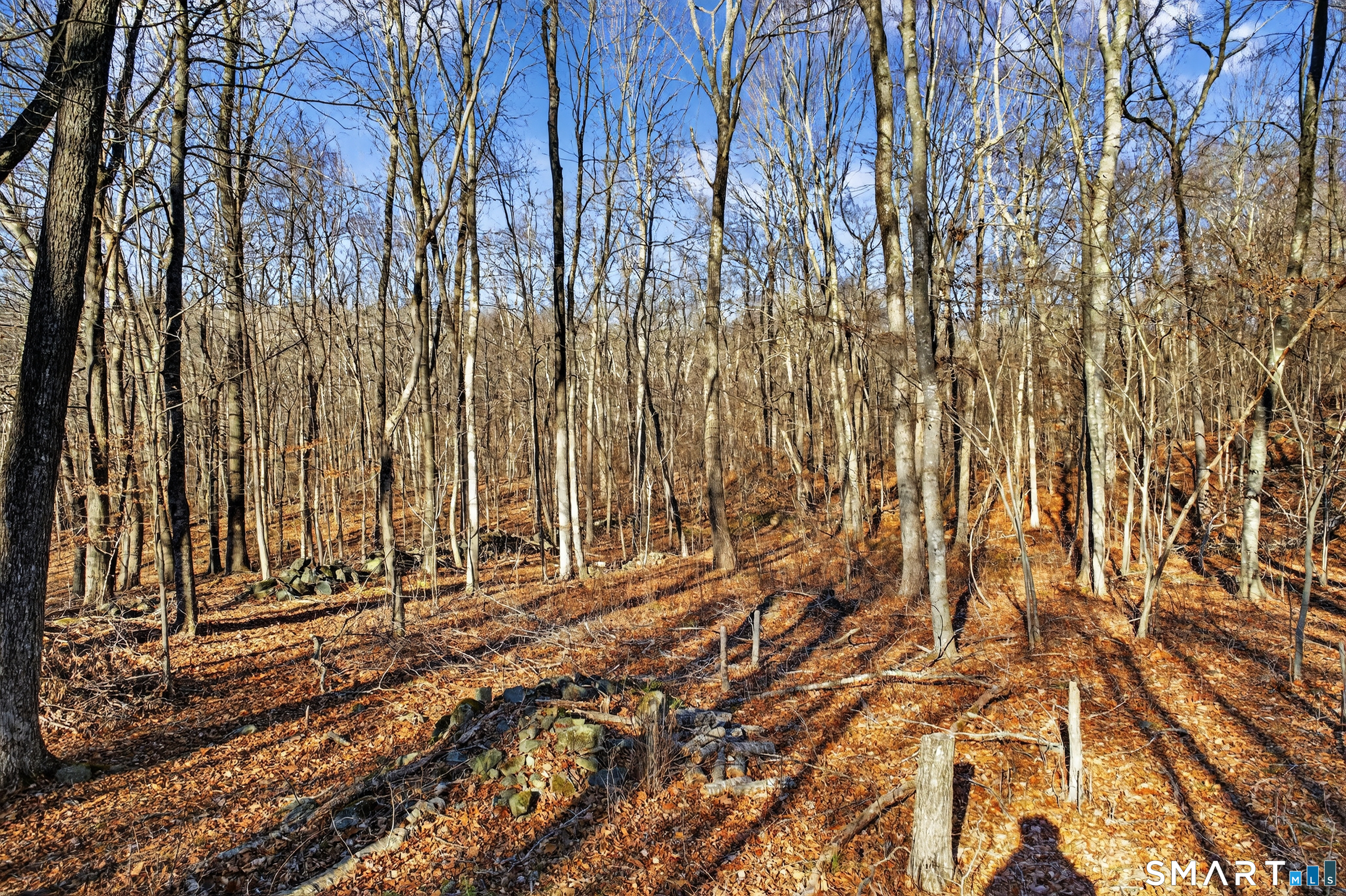 45 Benton Hill Road Griswold, CT 06351 - Photo 15 of 36