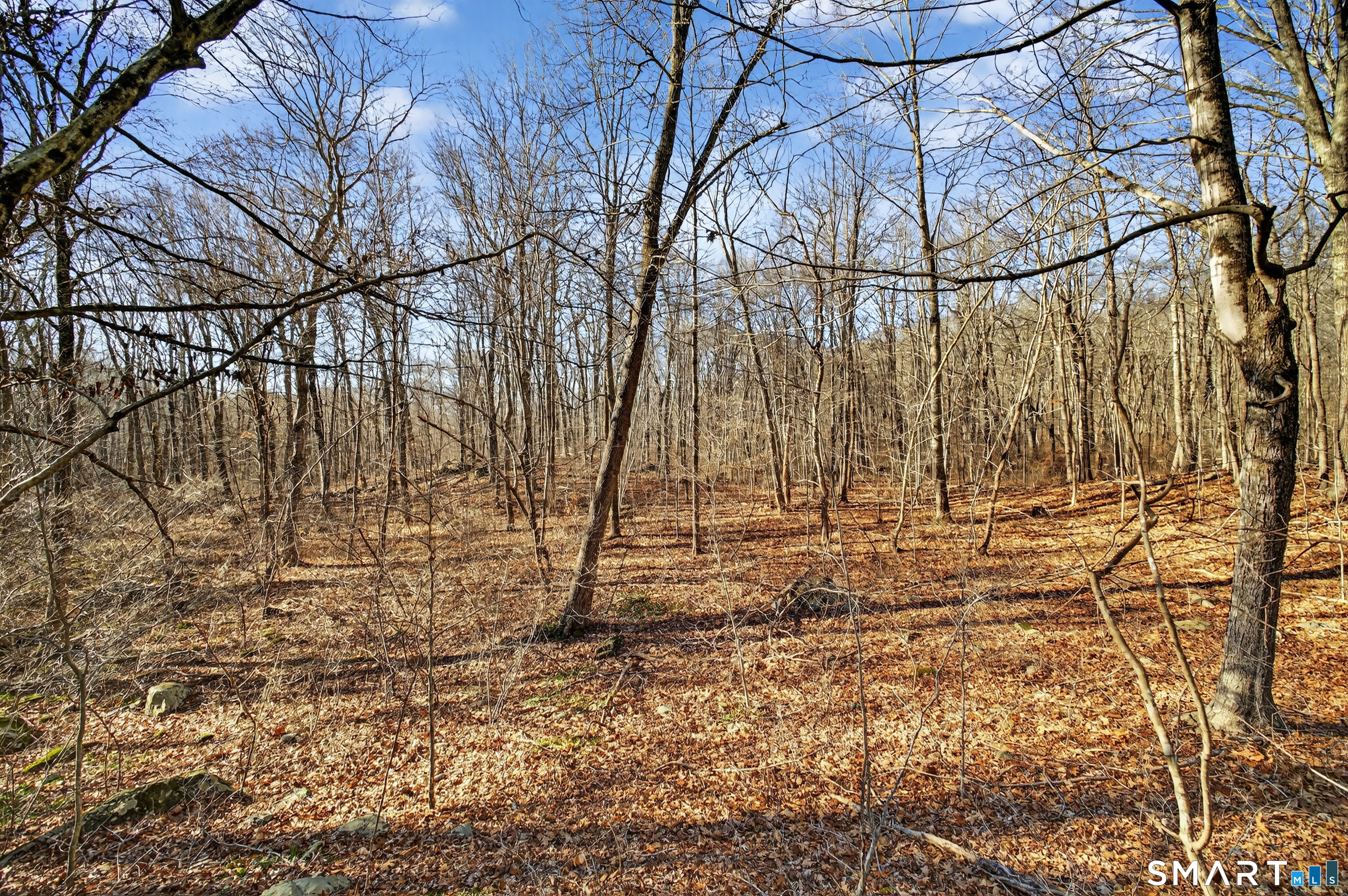 45 Benton Hill Road Griswold, CT 06351 - Photo 16 of 36