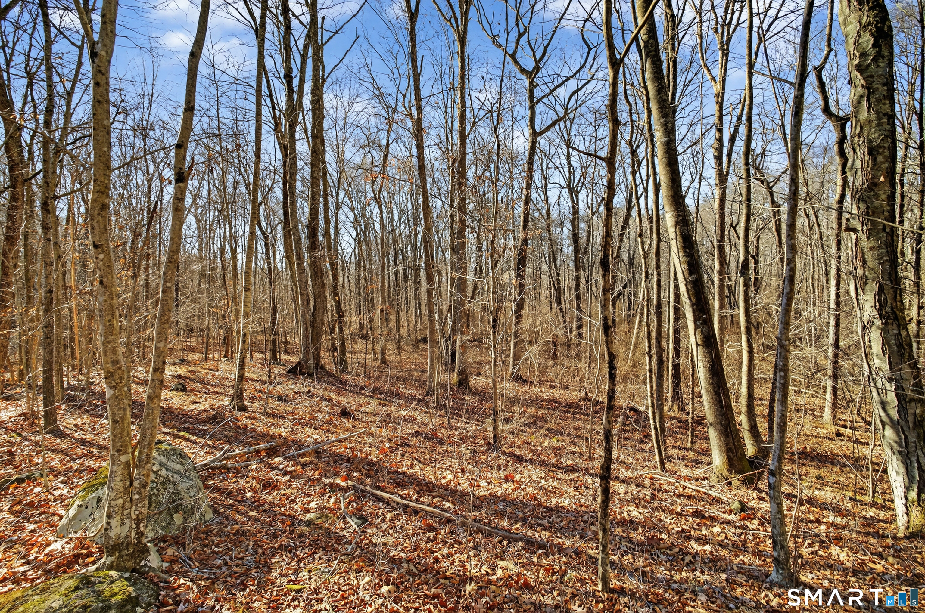 45 Benton Hill Road Griswold, CT 06351 - Photo 17 of 36