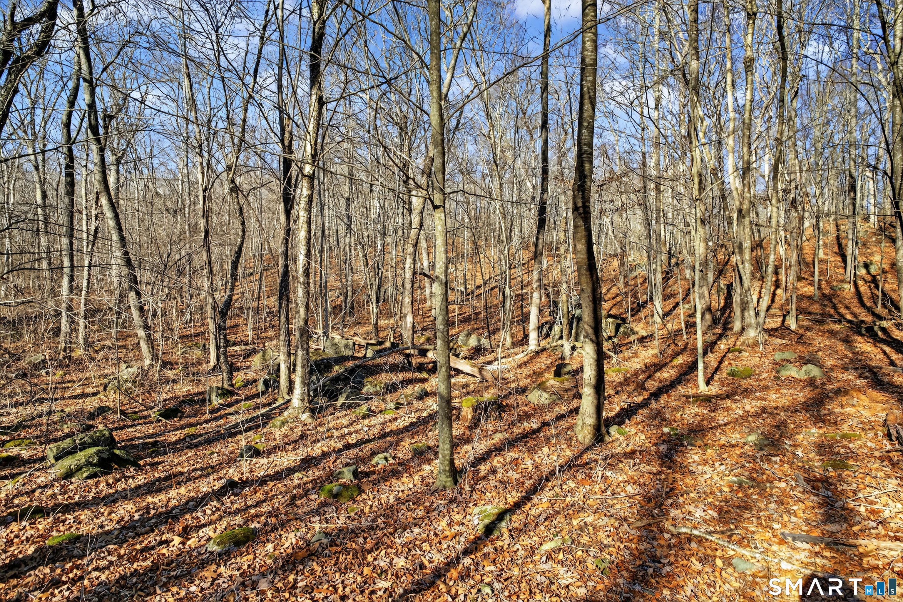 45 Benton Hill Road Griswold, CT 06351 - Photo 18 of 36