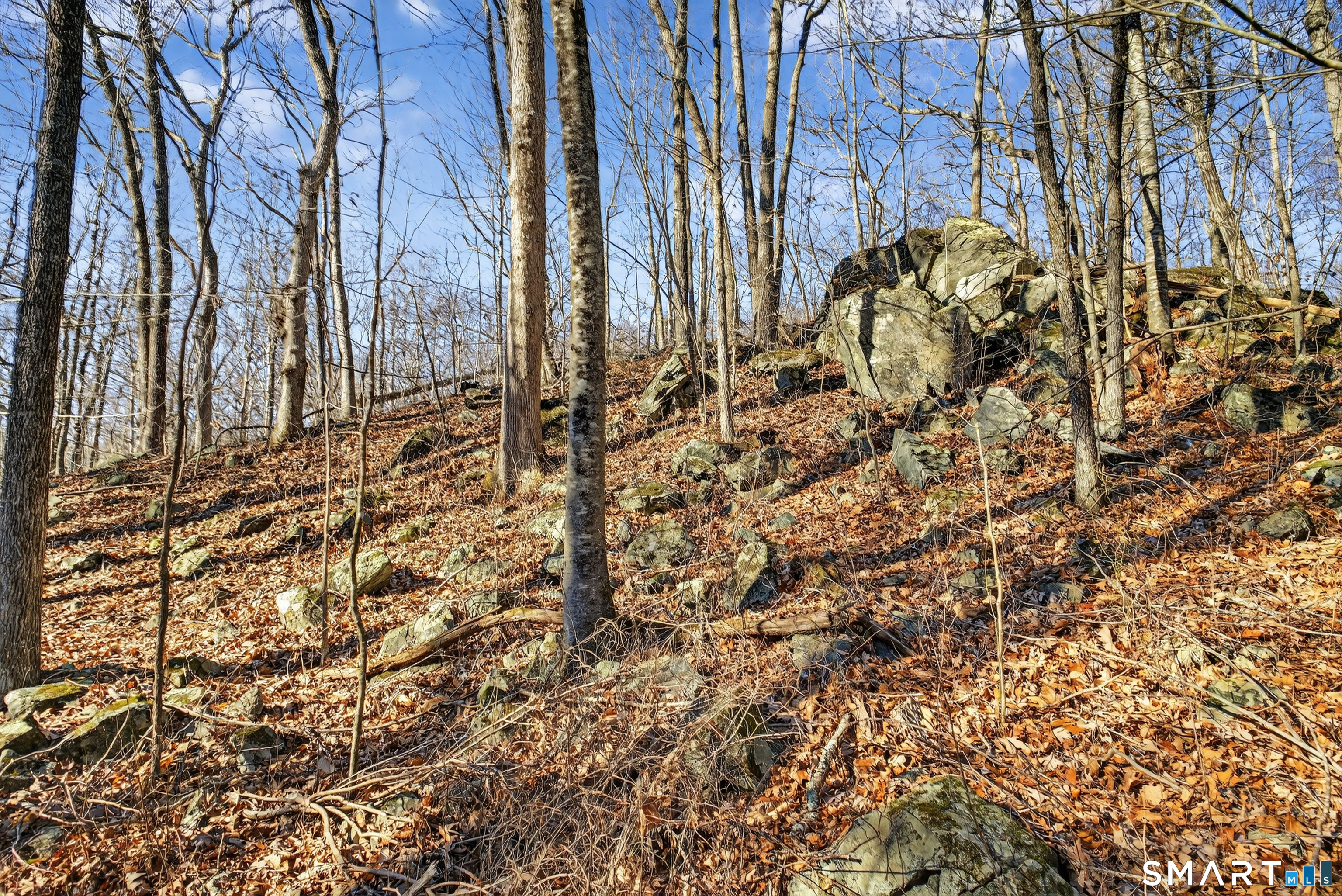 45 Benton Hill Road Griswold, CT 06351 - Photo 19 of 36