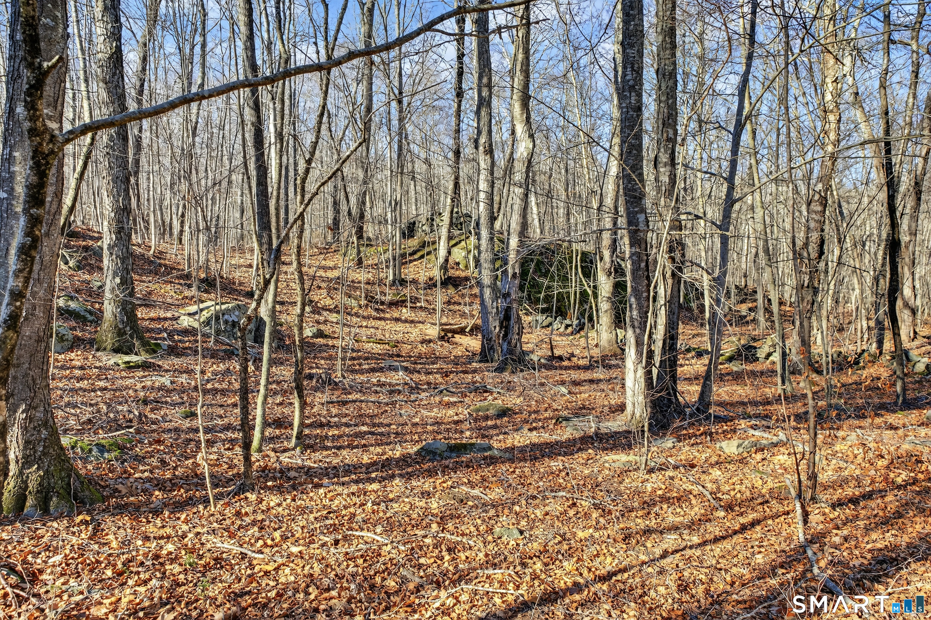 45 Benton Hill Road Griswold, CT 06351 - Photo 20 of 36