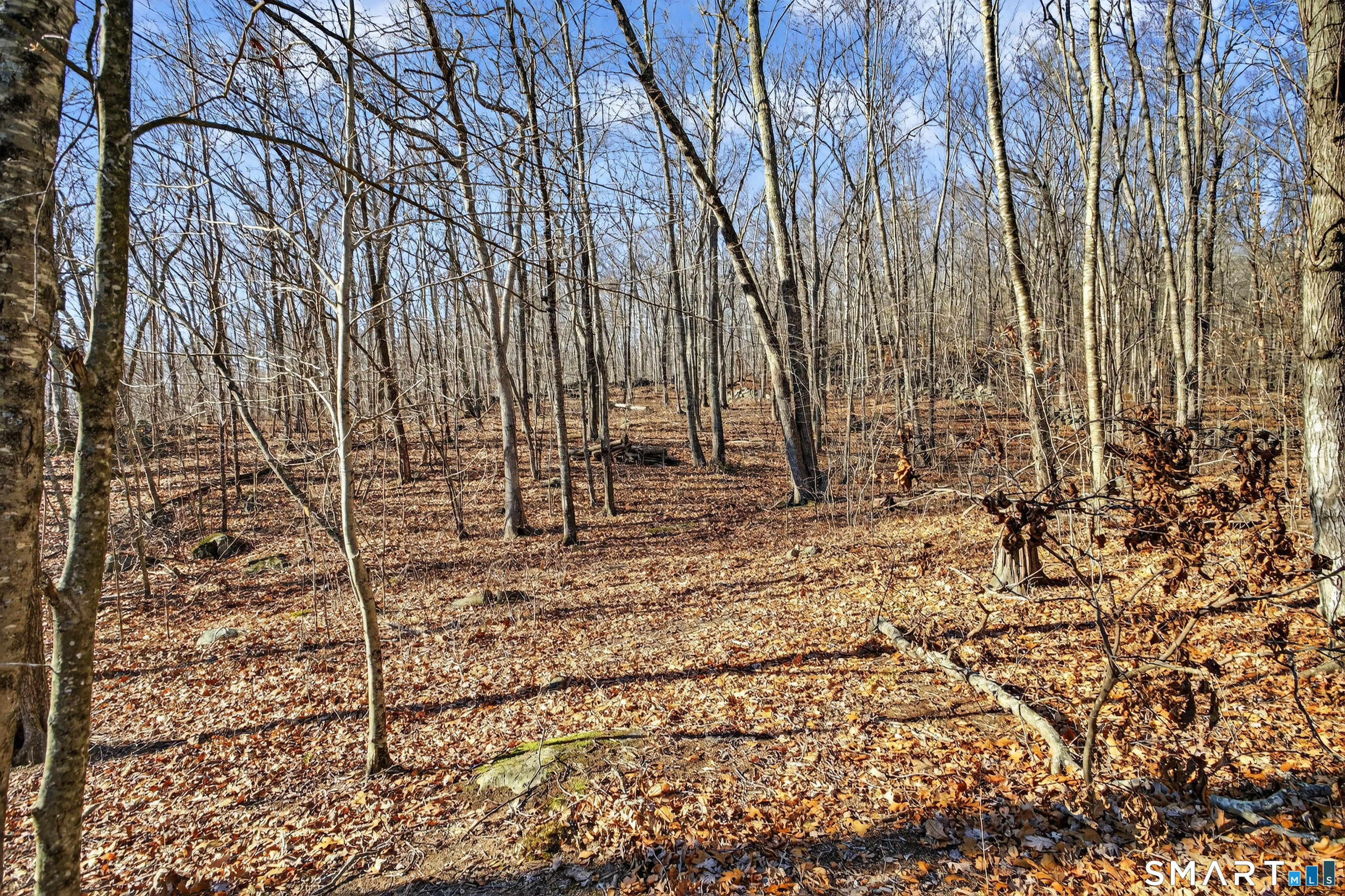 45 Benton Hill Road Griswold, CT 06351 - Photo 21 of 36