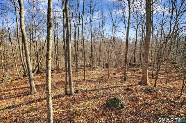 a backyard of a house with lots of trees