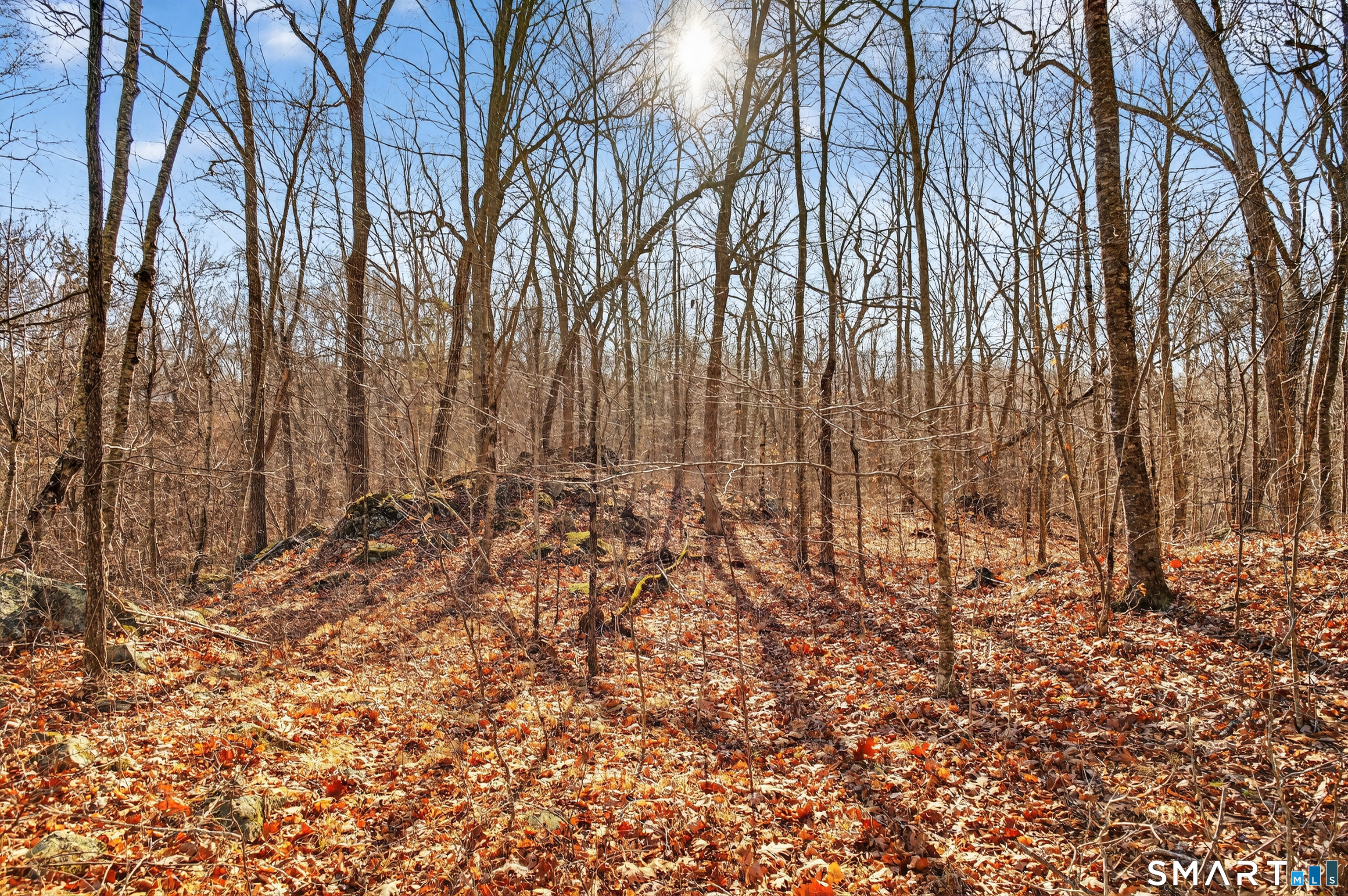 45 Benton Hill Road Griswold, CT 06351 - Photo 23 of 36