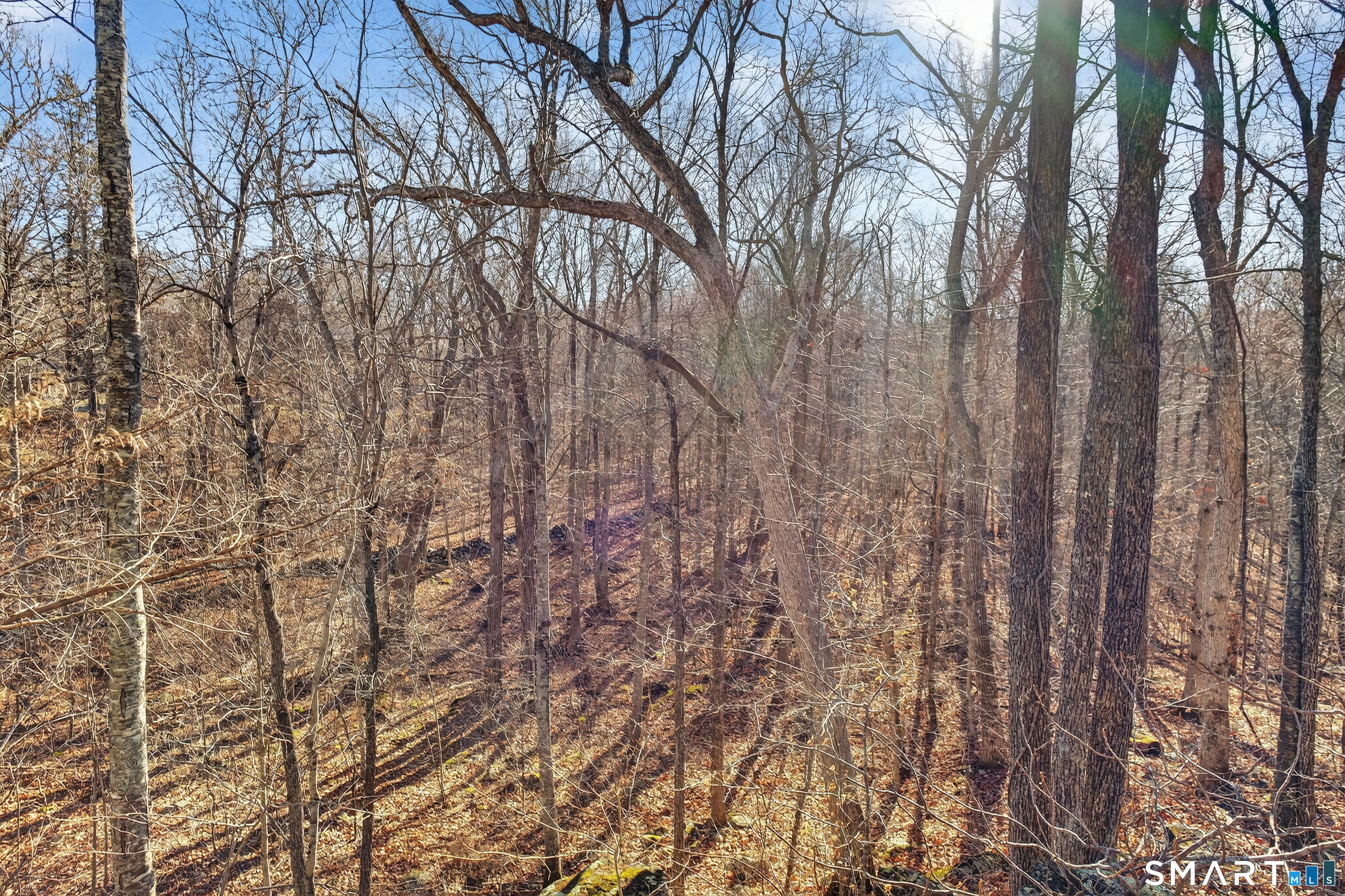 45 Benton Hill Road Griswold, CT 06351 - Photo 24 of 36