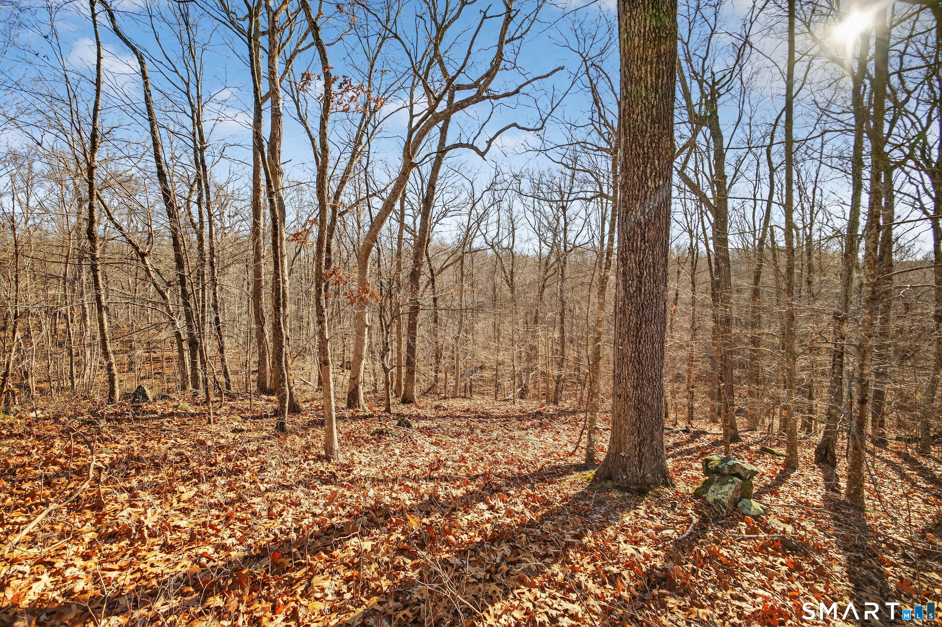 45 Benton Hill Road Griswold, CT 06351 - Photo 25 of 36