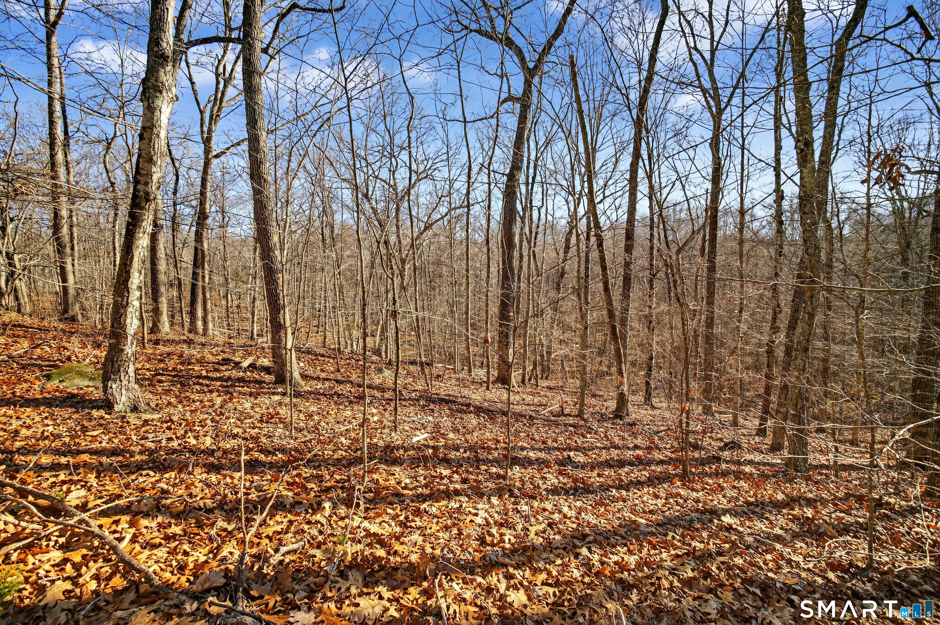 45 Benton Hill Road Griswold, CT 06351 - Photo 26 of 36