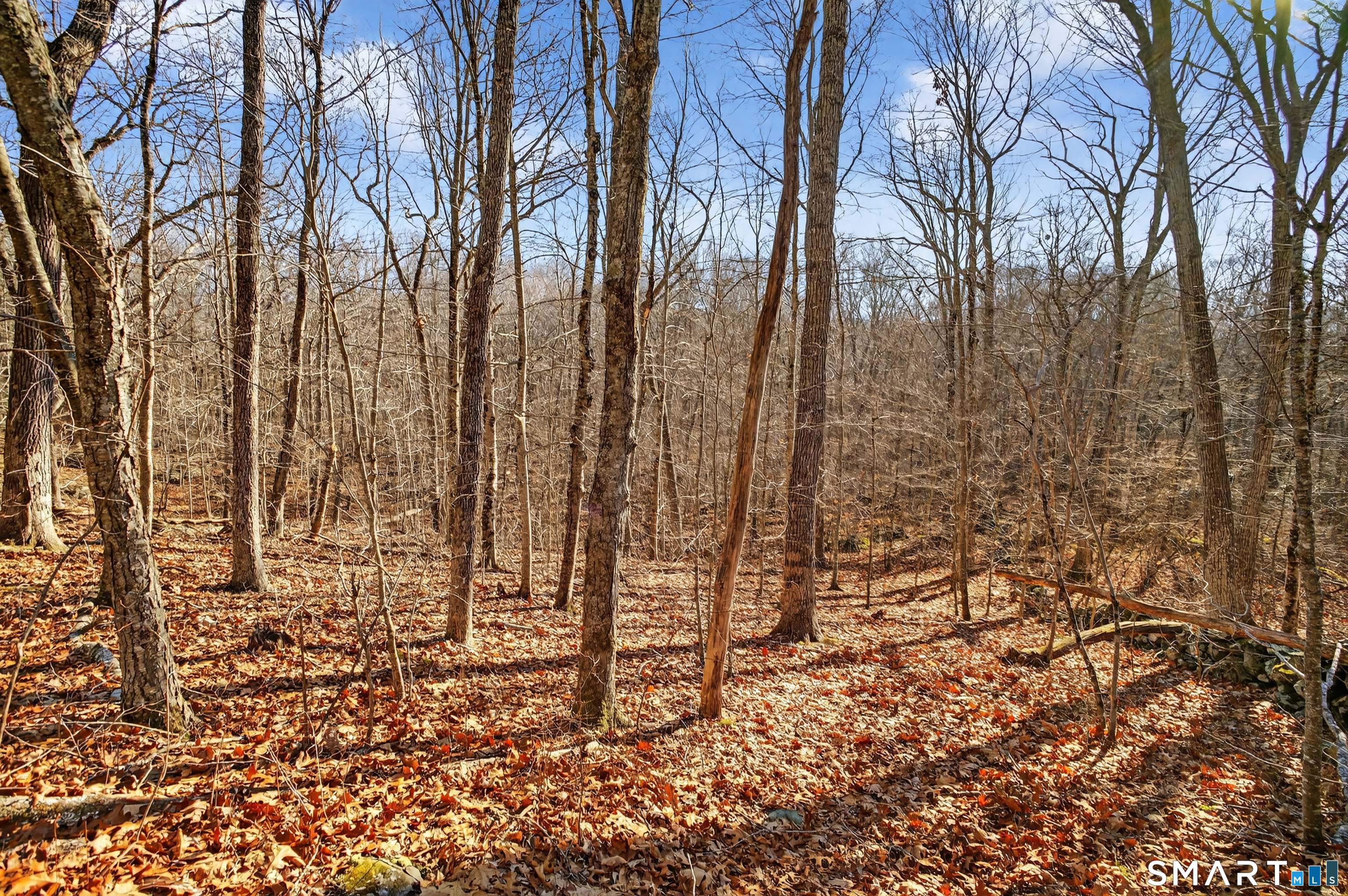 45 Benton Hill Road Griswold, CT 06351 - Photo 27 of 36