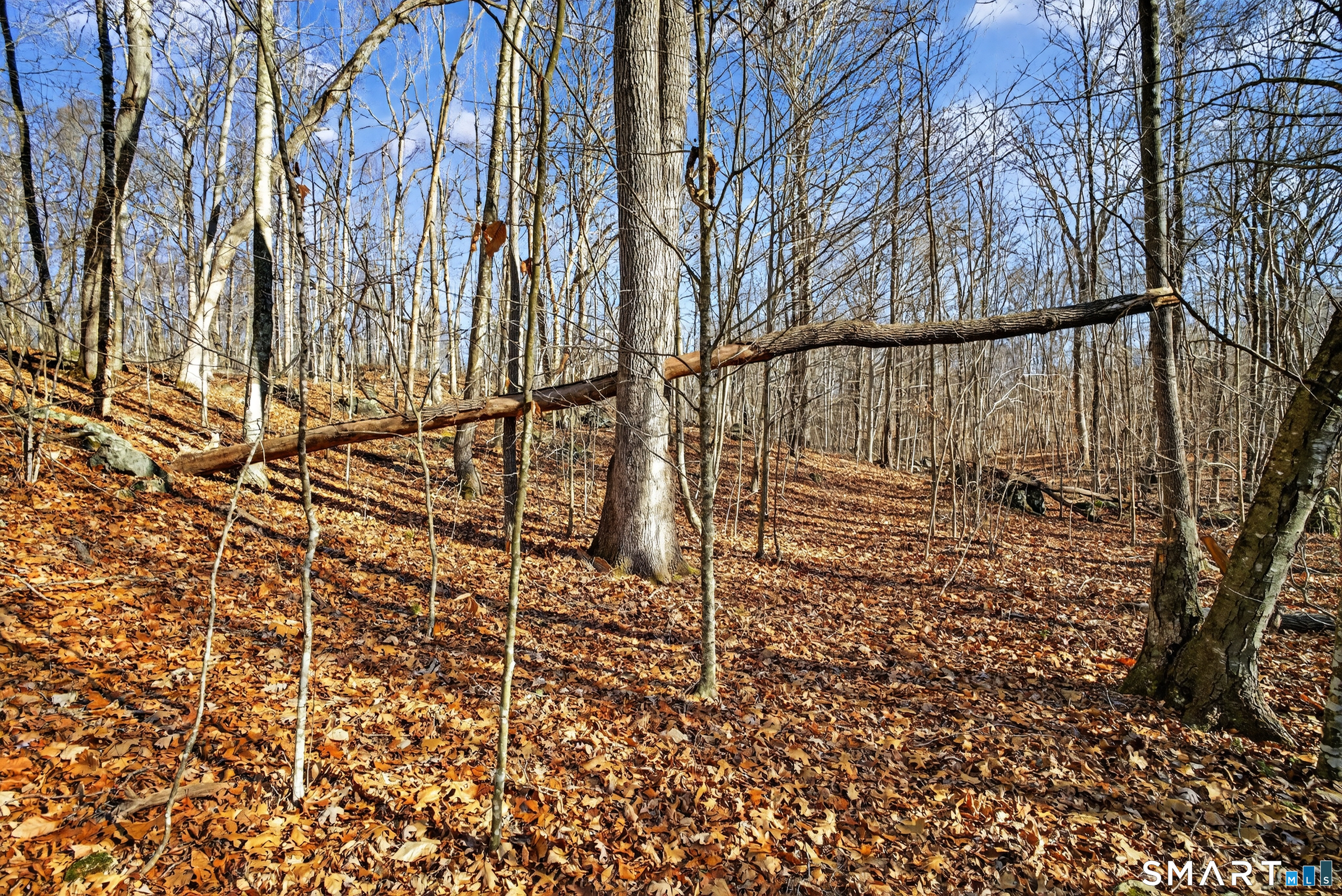 45 Benton Hill Road Griswold, CT 06351 - Photo 28 of 36