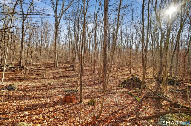 a view of city and mountain