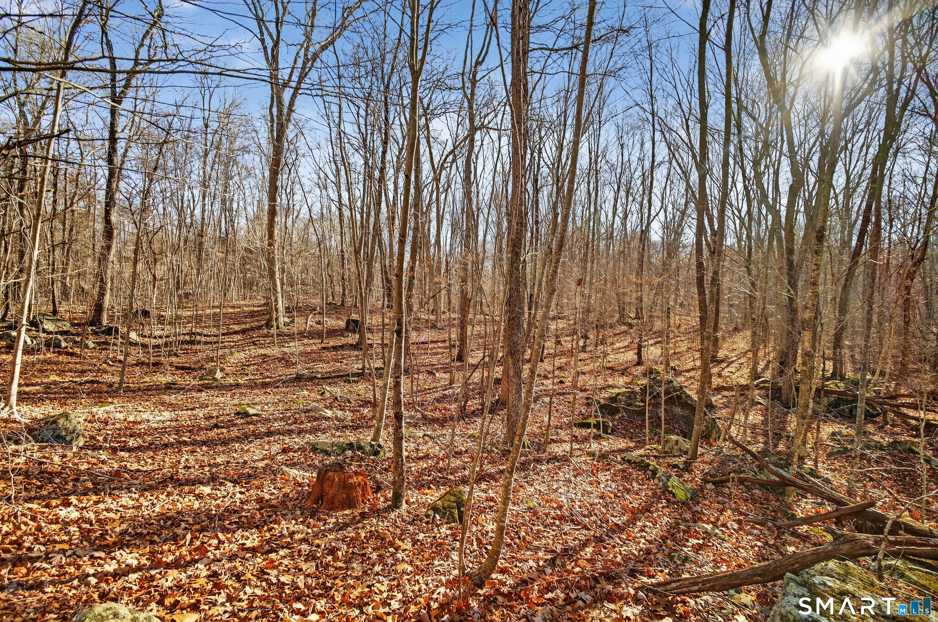 45 Benton Hill Road Griswold, CT 06351 - Photo 29 of 36