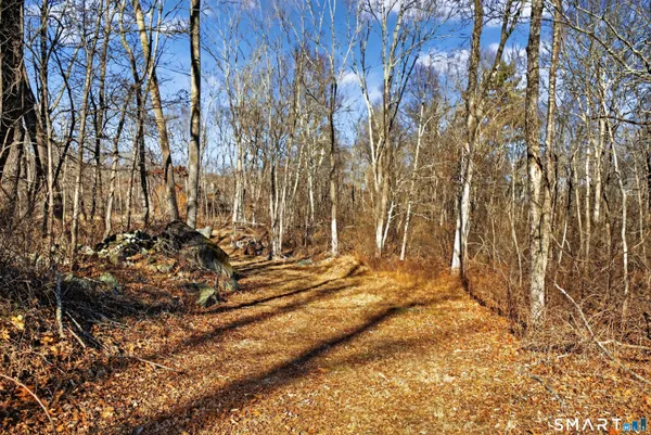 a view of a backyard of the house