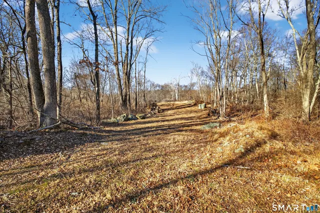 a view of street with large trees
