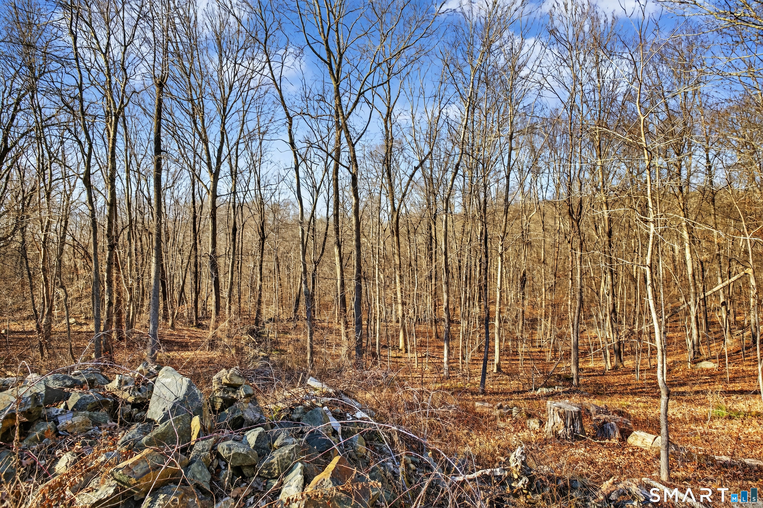 45 Benton Hill Road Griswold, CT 06351 - Photo 10 of 36