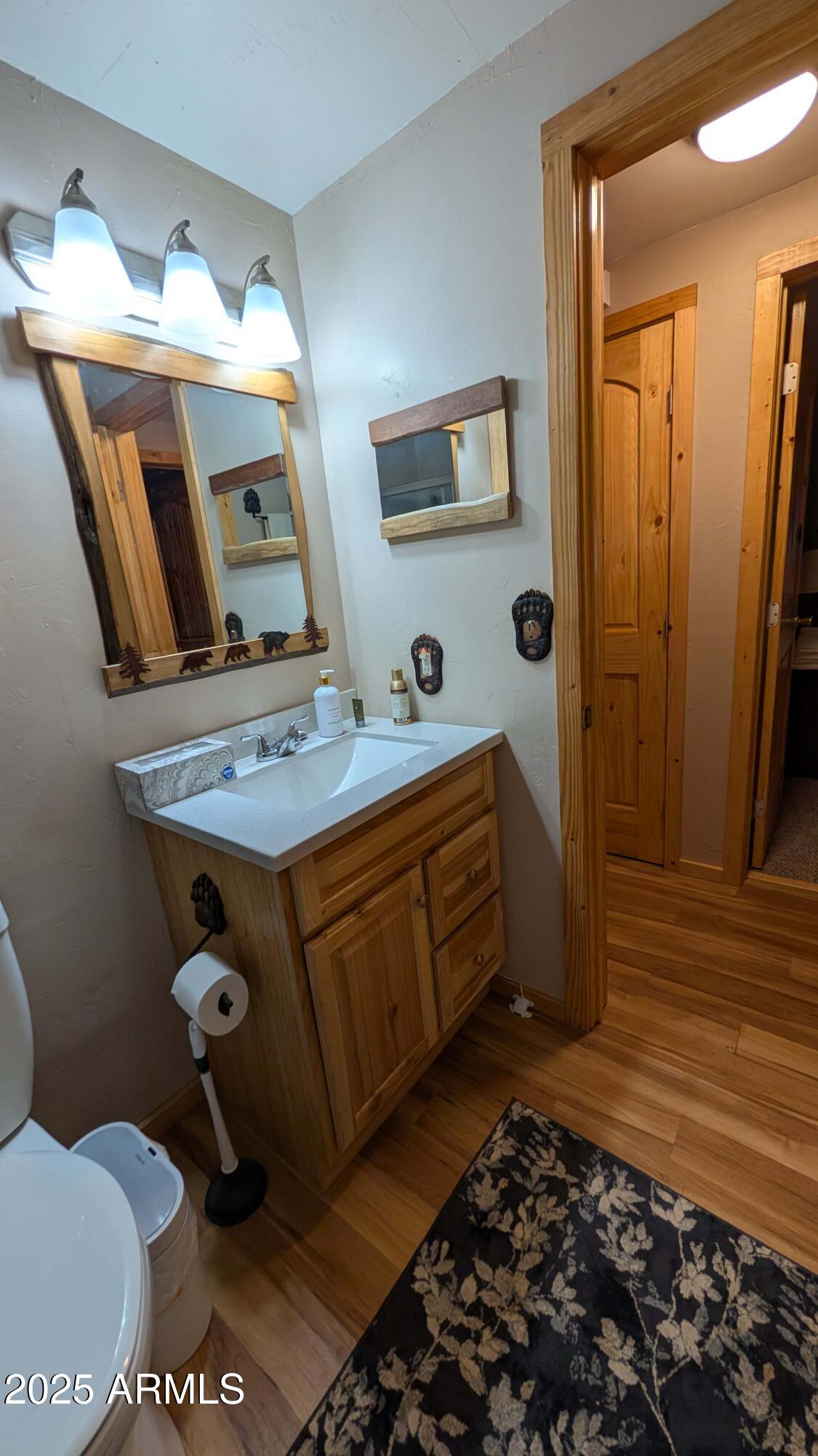 2425 Tall Trees Loop Forest Lakes, AZ 85931 - Photo 20 of 43 a bathroom with a sink mirror and toilet