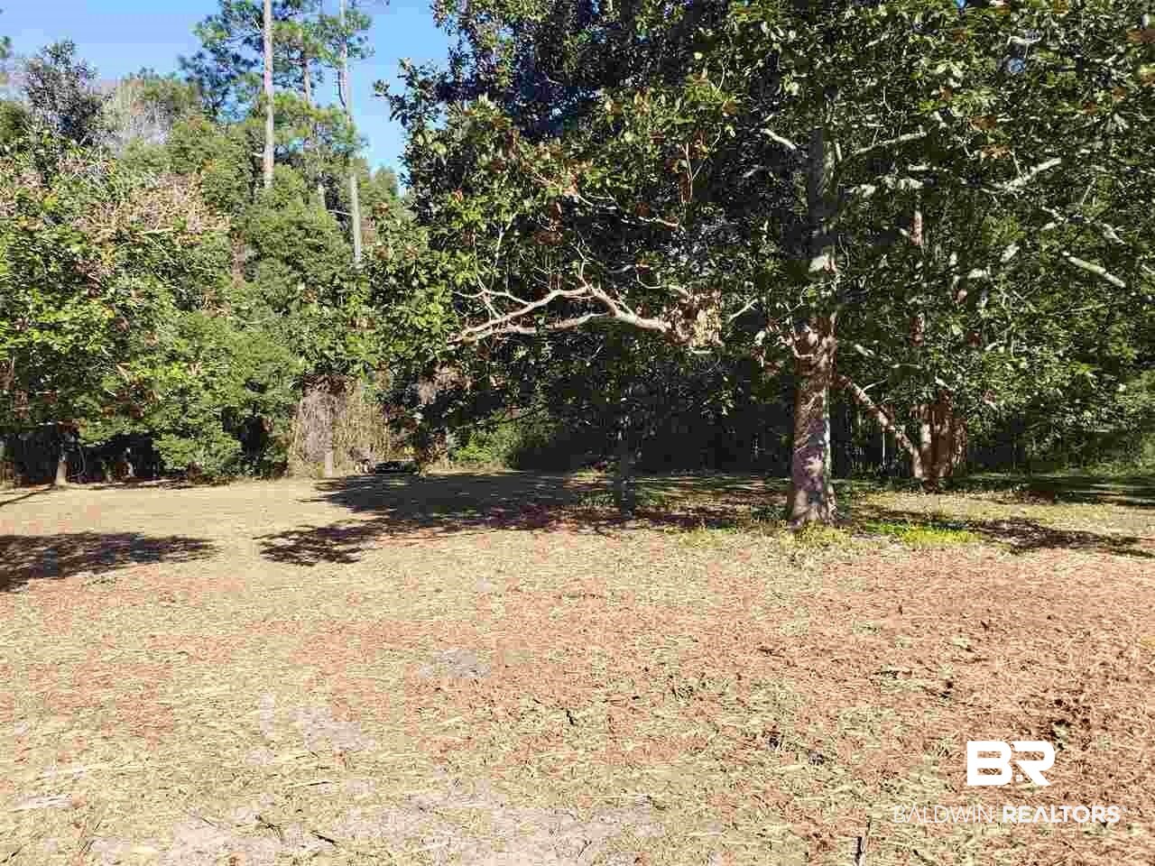 21655 Highway 98 Foley, AL 36535 - Photo 5 of 22