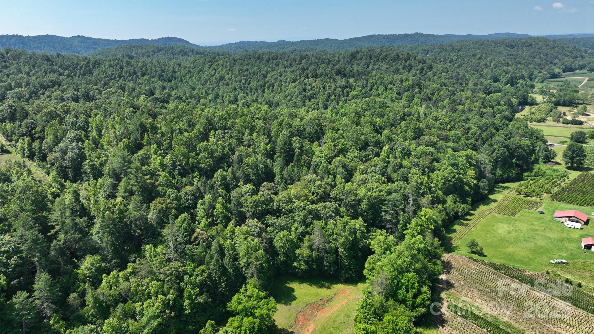 2941 Roby Martin Road Lenoir, NC 28645 - Photo 33 of 47 a view of a lush green forest with lush green forest