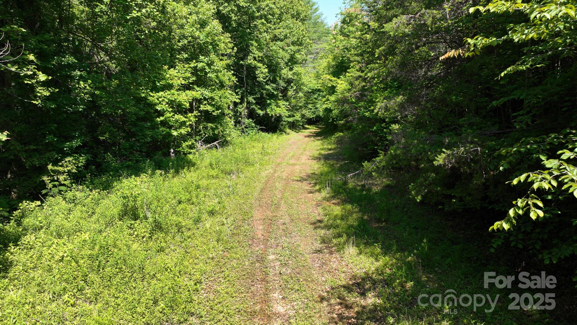 2941 Roby Martin Road Lenoir, NC 28645 - Photo 34 of 47 a view of a garden