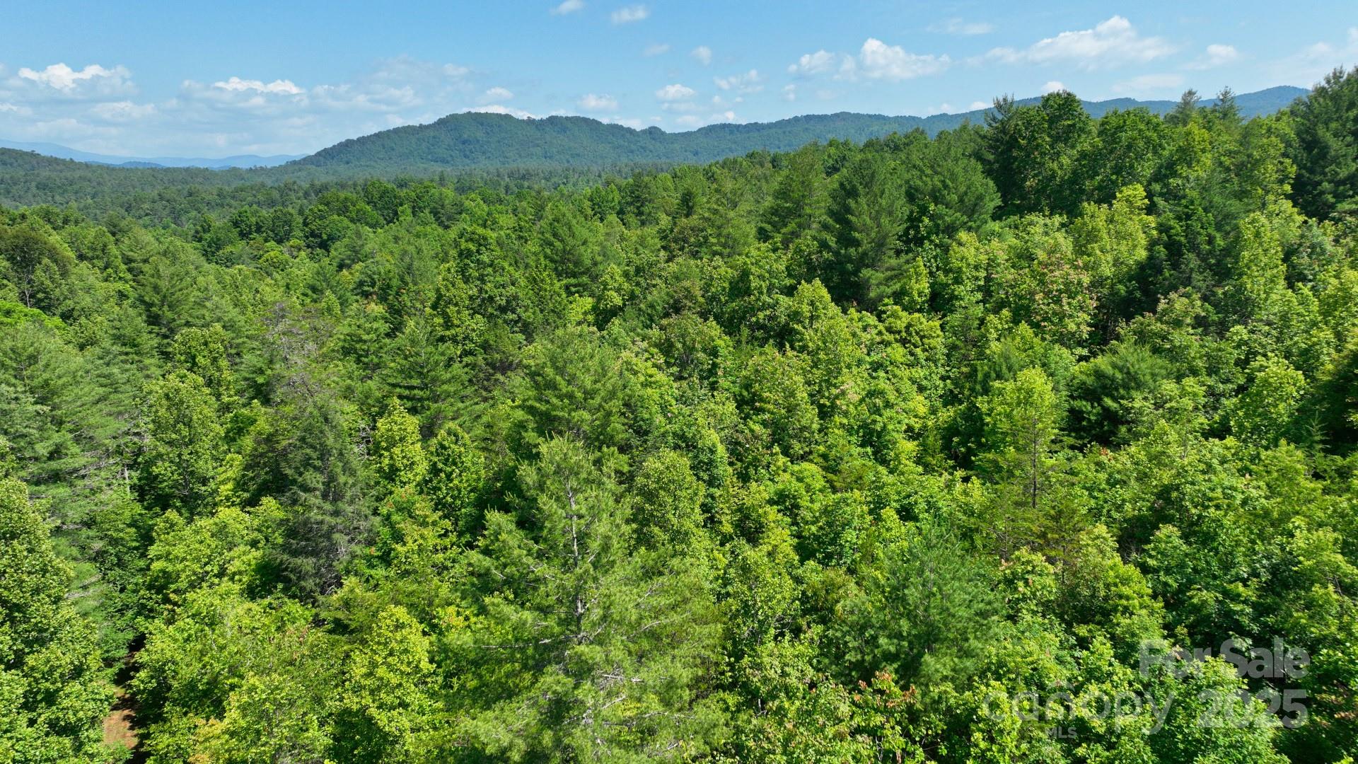 2941 Roby Martin Road Lenoir, NC 28645 - Photo 35 of 47 a view of a lush green field with a mountain in the background
