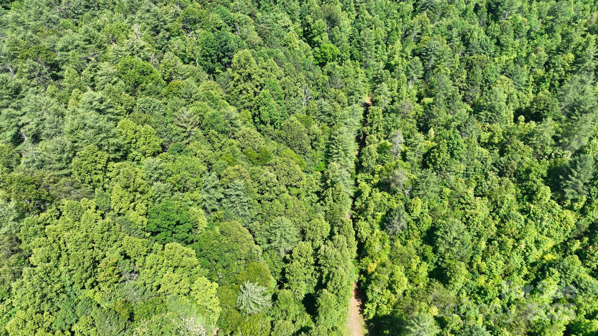 2941 Roby Martin Road Lenoir, NC 28645 - Photo 38 of 47 a view of a lush green space