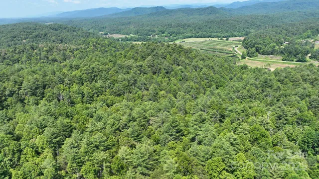 an aerial view of a residential houses with outdoor space and trees all around