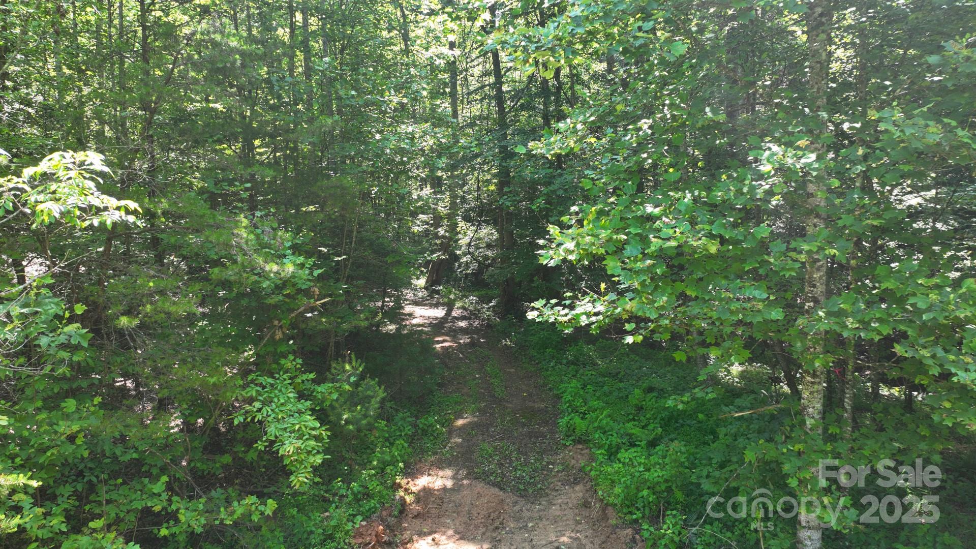 2941 Roby Martin Road Lenoir, NC 28645 - Photo 40 of 47 a view of a tree in a yard