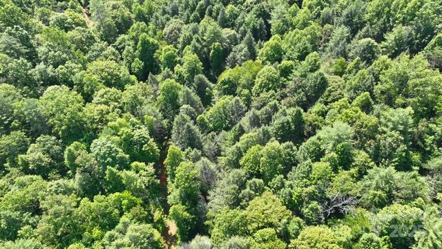 $500,000 | 2941 Roby Martin Road, Lenoir, NC 28645