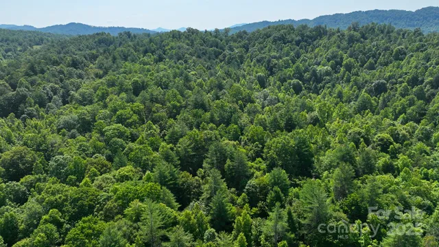 $500,000 | 2941 Roby Martin Road, Lenoir, NC 28645