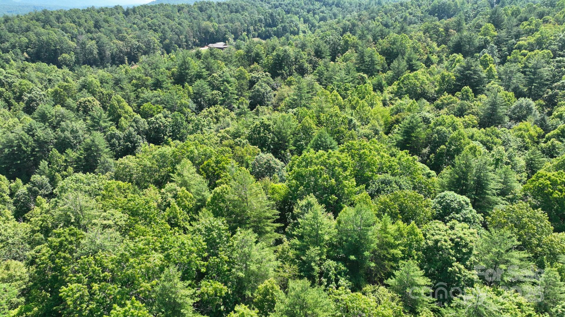 2941 Roby Martin Road Lenoir, NC 28645 - Photo 47 of 47