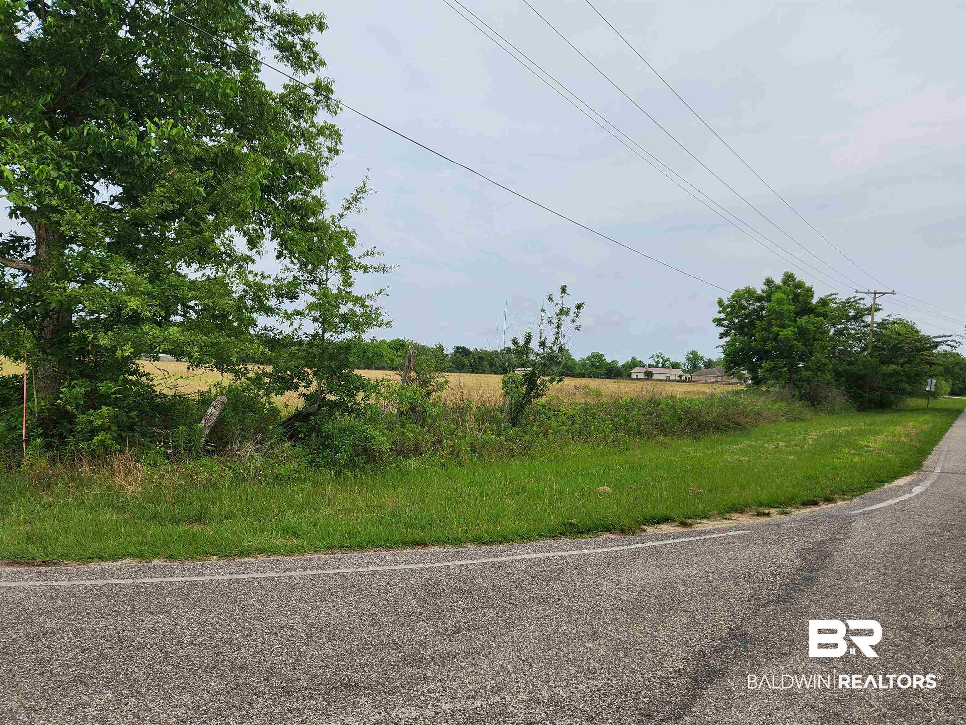 0 County Road 10 Foley, AL 36535 - Photo 6 of 6