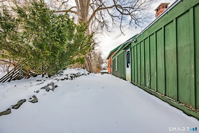 a view of a backyard with plants and trees