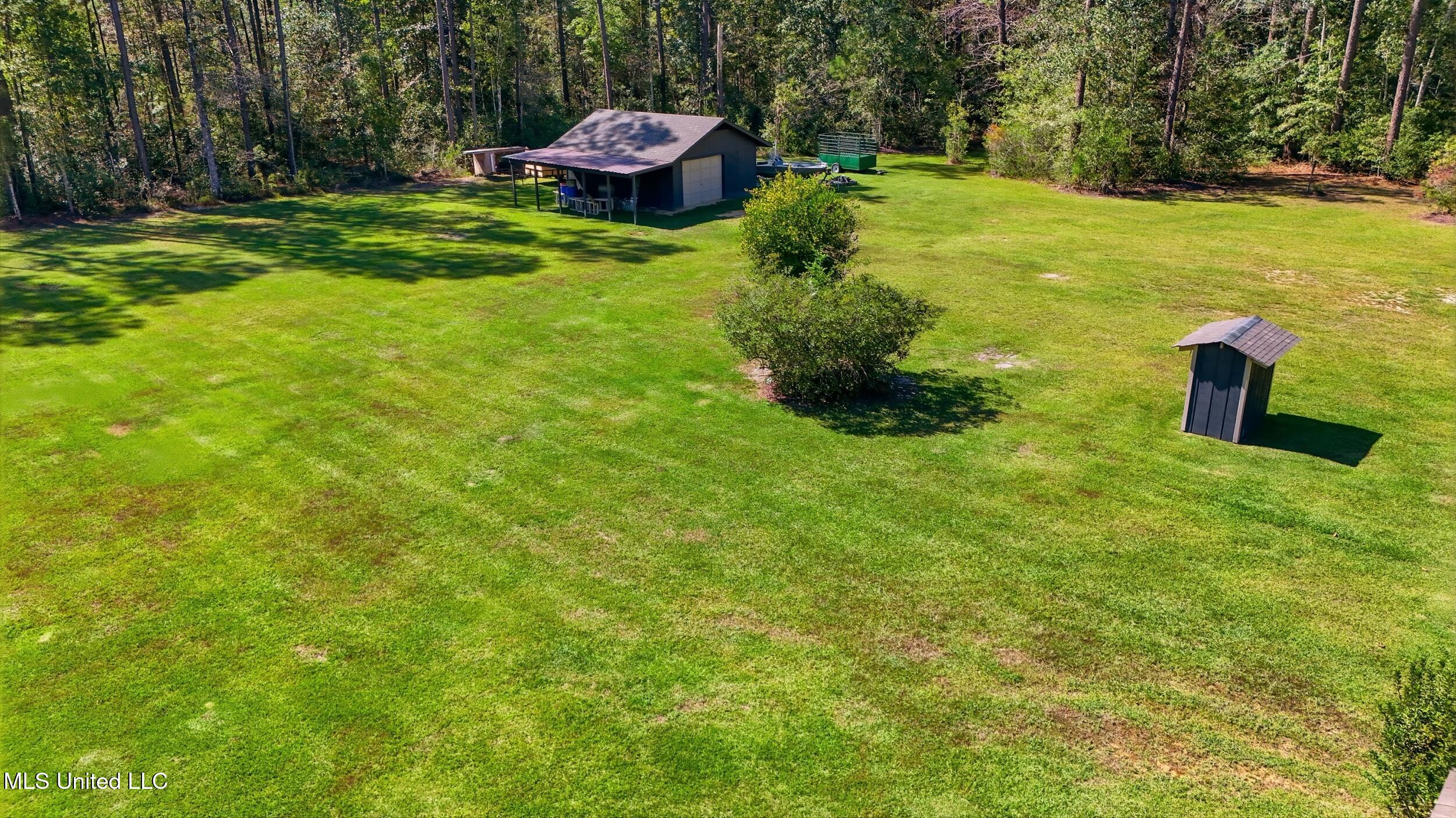 192 Sycamore Road Carriere, MS 39426 - Photo 38 of 48 38_back yard 1