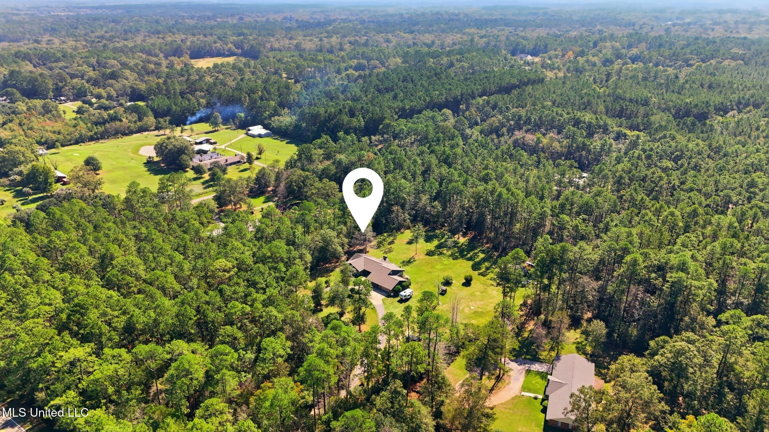 192 Sycamore Road Carriere, MS 39426 - Photo 43 of 48 43_aerial 2