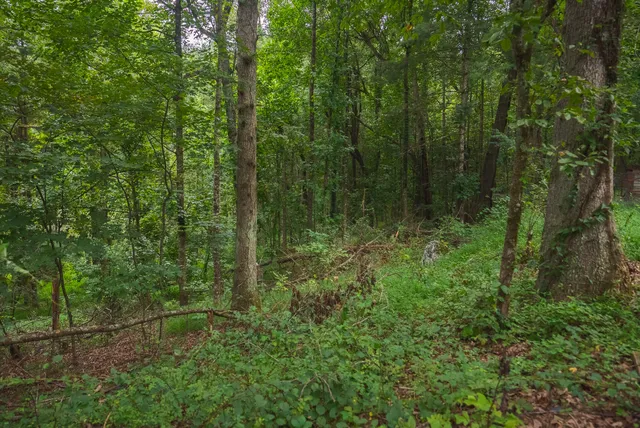 $339,900 | 788 Jacks Mill Road Southeast, Copper Hill, VA 24079