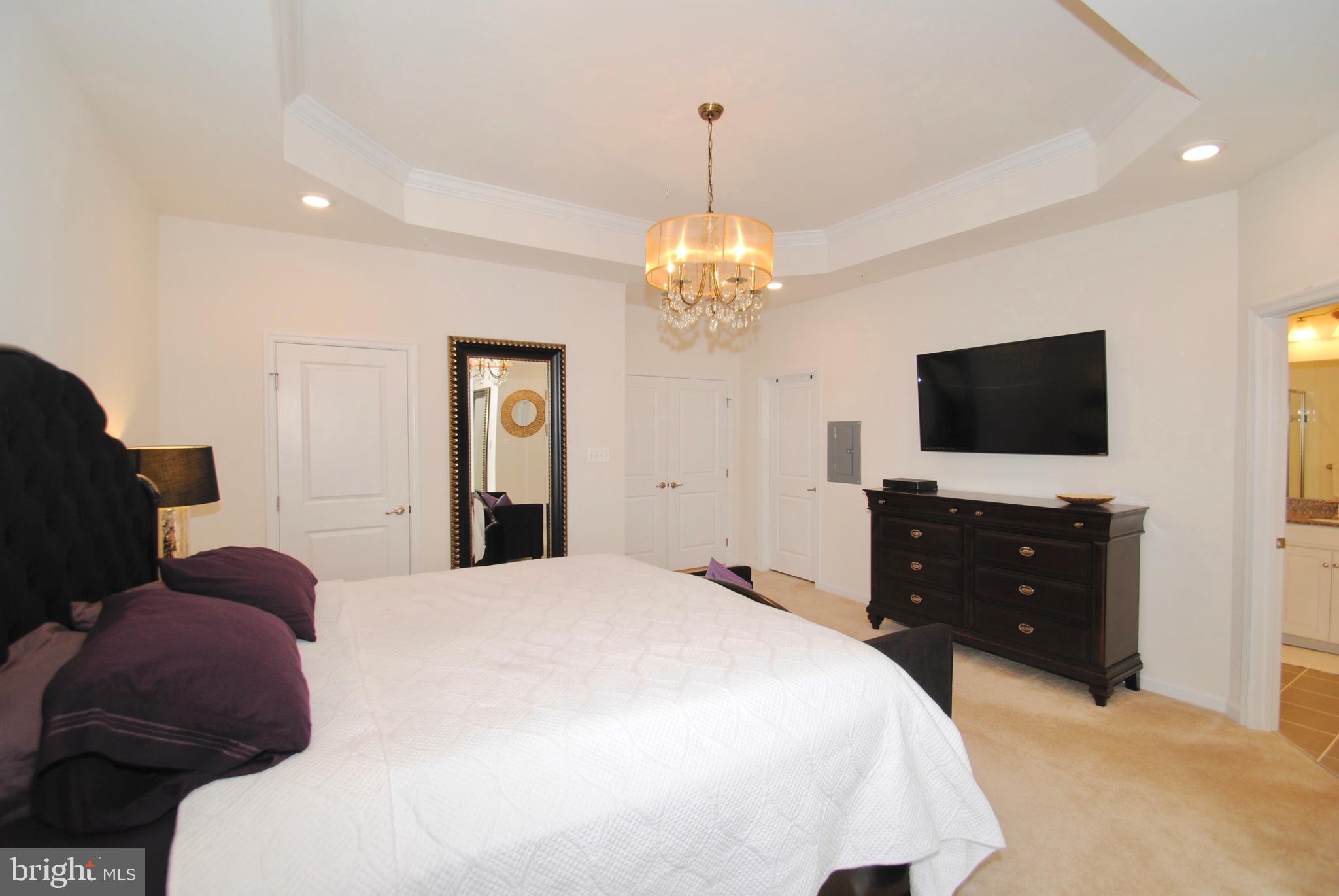 8038 Orchard Grove Road, Unit 20 Odenton, MD 21113 - Photo 21 of 30 TWO Walk-In Closets & Ensuite Luxury Bath