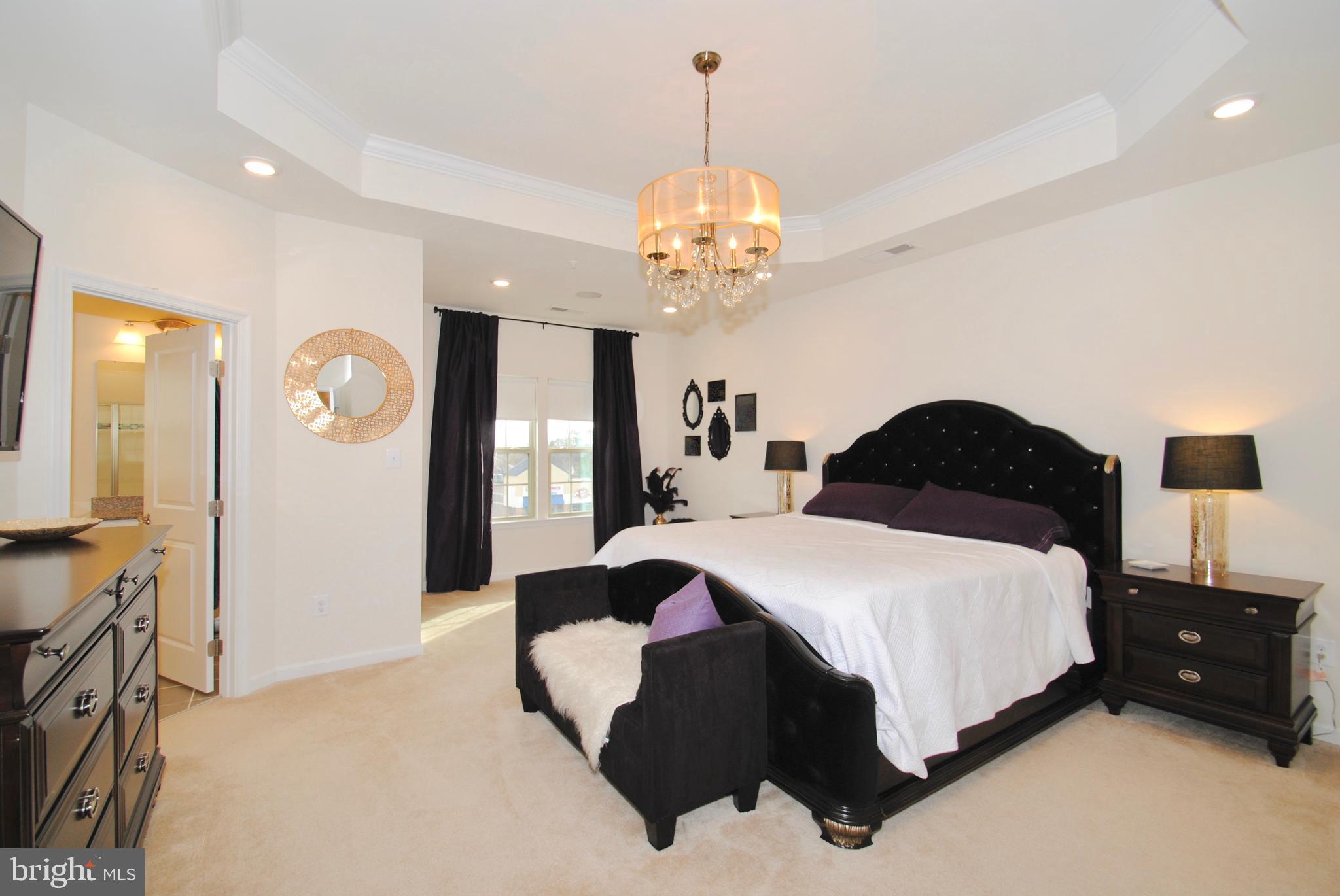 8038 Orchard Grove Road, Unit 20 Odenton, MD 21113 - Photo 6 of 30 Retreat to Your Master Bedroom Haven!