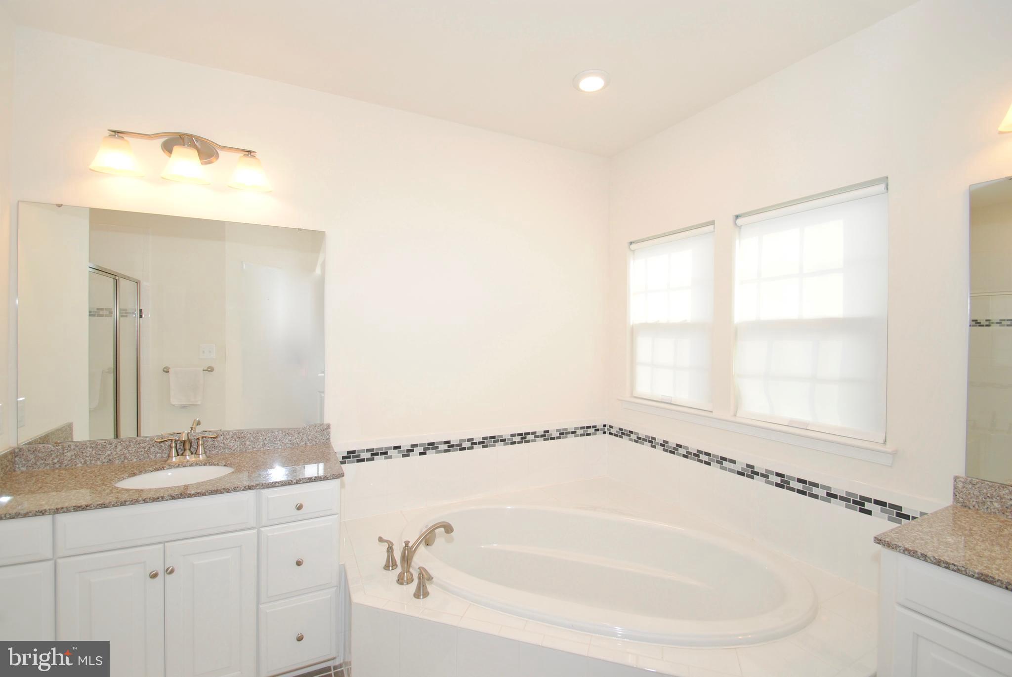 8038 Orchard Grove Road, Unit 20 Odenton, MD 21113 - Photo 7 of 30 Escape to You Luxury Spa Master Bath!